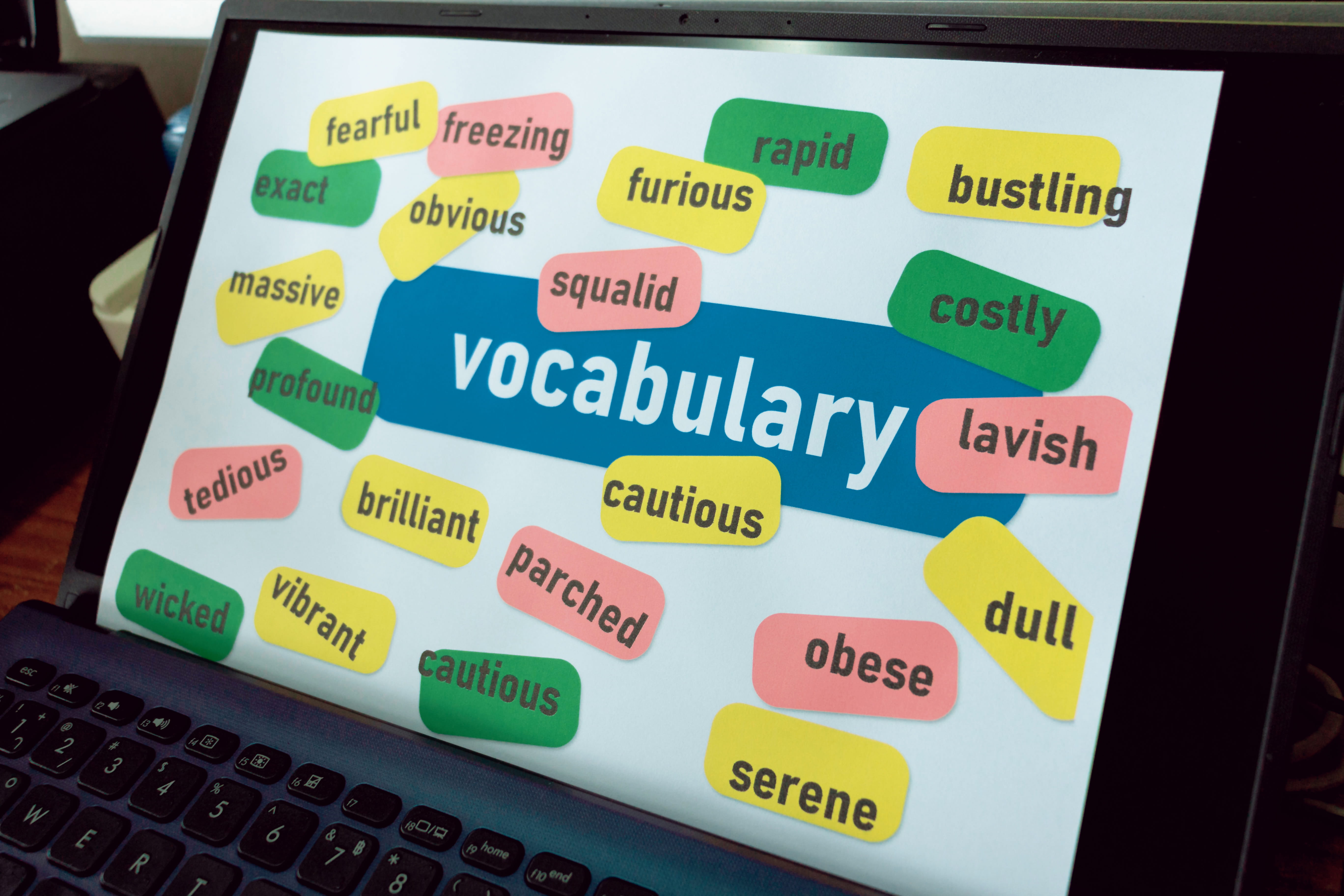 A laptop screen with the word "vocabulary" in the middle surrounded by various vocabulary words.